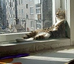 В четверг в Астрахани продолжится снижение температуры