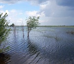 В Астраханской области введён режим повышенной готовности к ЧС