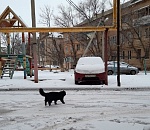 Астрахань укутало снегом