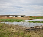 Строительство дороги к селу Бекетовка завершится в сентябре