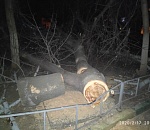 Дерево, упавшее на детскую площадку, распилили уже ночью