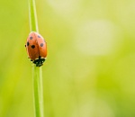 Завтра погода порадует астраханцев комфортом и умеренностью