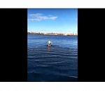 Полуголый астраханец решил поплавать в Волге