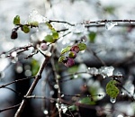 Завтра в Астраханской области будет пасмурно и моросяще неприятно