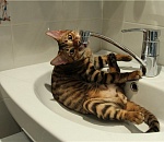 В Астрахани часть Советского района осталась без холодной воды