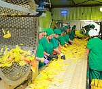 Астраханская консервная компания в 2015г планирует увеличить производство