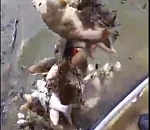 Астраханцы показали шокирующие кадры с рыбалки (ВИДЕО)