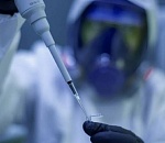 Почти 300 астраханцев заразились коронавирусом за сутки