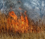 Тепло и высокая пожароопасность ждут астраханцев завтра