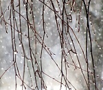 Завтра в Астрахани будет мокро и неприятно