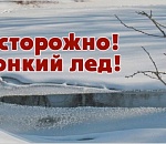 Мэрия просит астраханцев обходить Лебединое озеро и городские каналы стороной