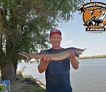 Астраханцы удивились, что рыбак сделал с пойманной стерлядью