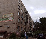 В Астрахани дерево-хулиган придавило машину и разбило окно