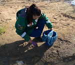 Штраф за нечистоты: Астраханский МУП заплатит за отравленную почву