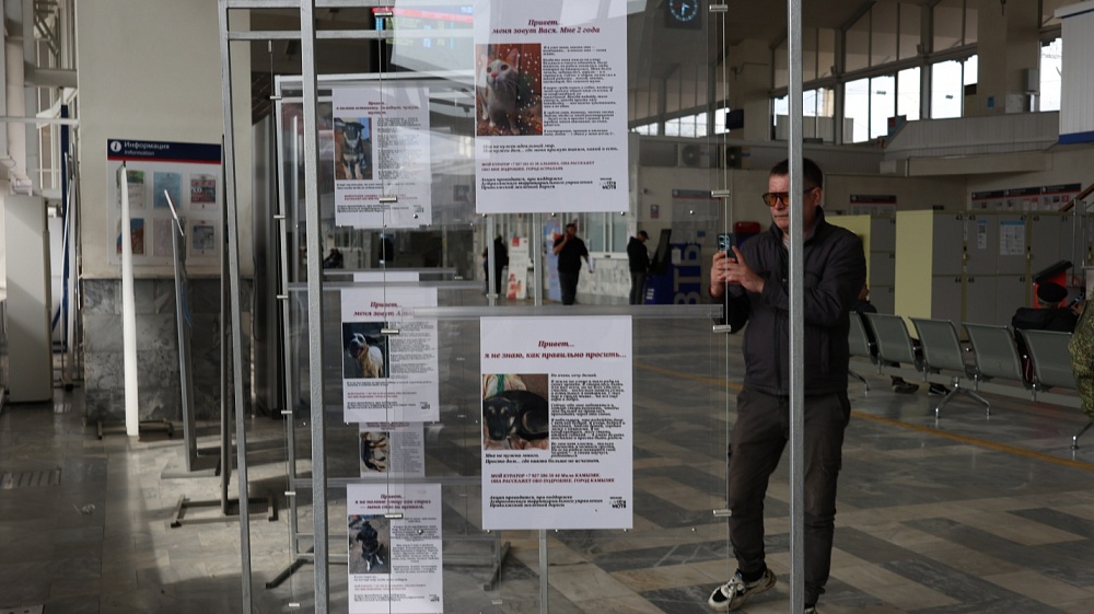 Выставка по пристройству приютских животных открылась на астраханском вокзале