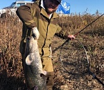 Астраханцу на крючок попалась 17-килограммовая рыбка