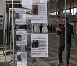 Выставка по пристройству приютских животных открылась на астраханском вокзале