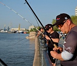 Полуметрового сазана поймал астраханец на фестивале «Вобла»: фоторепортаж