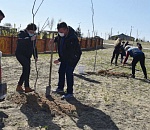 В Астрахани сажают «Сад памяти»