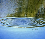 Под Астраханью в реке обнаружен труп женщины