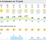 Весна идет: Астрахань ждет потепления