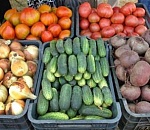 Астраханские ярмарки местных товаров продолжают свою работу