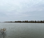 Первый день рабочей недели в Астраханской области будет с осадками