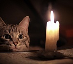 41 улица Астрахани останется сегодня без света