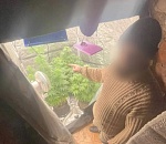 Наркоогород обнаружили полицейские в гараже у астраханца