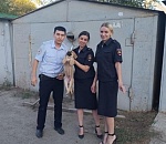 В Астрахани спасатели и полиция выезжали на необычный вызов