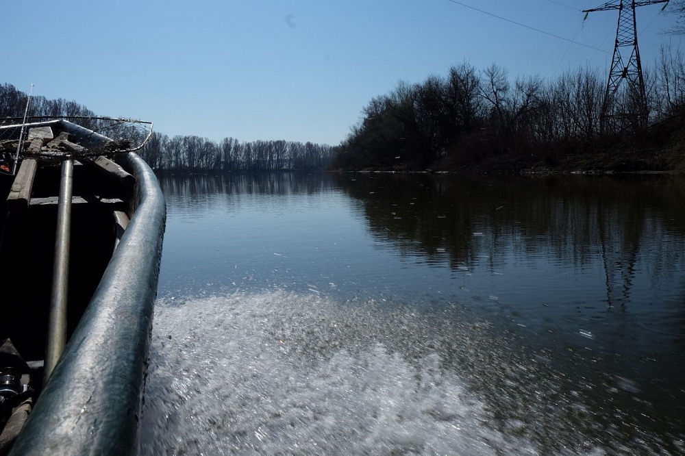 ﻿Под Астраханью пограничники устроили на лодках погоню за браконьерами 