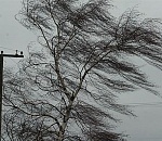 В Астрахани и области ожидается сильный ветер