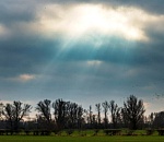 Завтра в Астраханской области будет поменьше солнца и тепла, но в пределах местного мая 