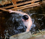 Где в Астрахани пройдут Крещенские купания