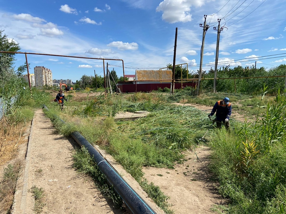 В районах областного центра ликвидируют сорную растительность