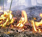 В субботу астраханцам обещают жару, сильный ветер и высокую опасность пожаров