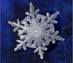 Коммунальные службы Астрахани ликвидируют последствия снегопада