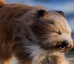 В Астрахани и области объявлено штормовое предупреждение