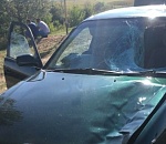 Астраханка, перебегавшая дорогу, погибла под колесами авто: видео