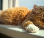 В четверг в Астрахань вернется жара