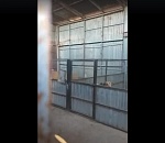 Астраханские зоозащитники пробрались к ангару с собаками, чтобы их спасти