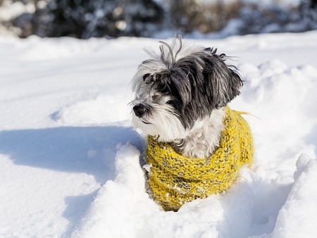 Бурные перепады погоды ждут астраханцев в феврале