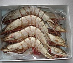 Астраханская область снабдит рестораны Москвы и Петербурга тигровыми креветками