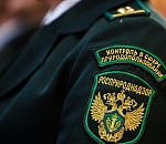 Сотрудники природоохранной прокуратуры оштрафовали инспекторов службы природопользования за лишние проверки