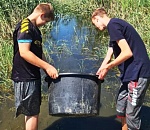 В Астраханской области начали формировать «голубые патрули» и производственные бригады по спасению рыбной молоди