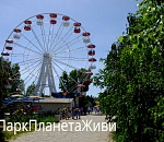 Астраханцы запустили флешмоб #ПаркПланетаЖиви