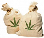 Астраханская полиция изъяла 60 килограмм наркотиков