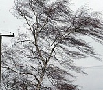 Видео дня: в Астрахани бушует буря