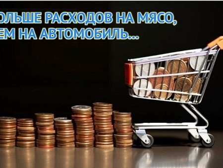 Водки, фарша и сигарет! На что астраханцы больше тратились в начале 2026 года