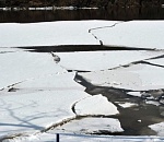 Астраханку нашли в реке после бесследного исчезновения